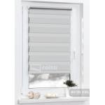 Ролети день-ніч DN 2006 срібло