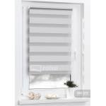 Ролети день-ніч BM 1221 світло сірий