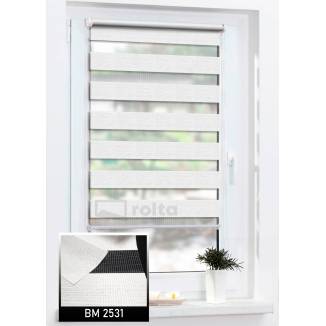Ролети день-ніч BM 2531 біле срібло