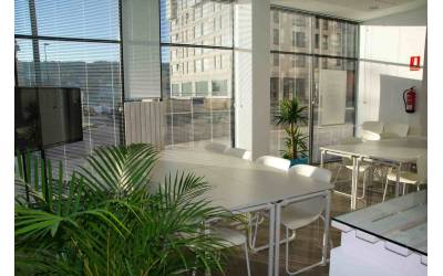 Як вибрати жалюзі на вікна