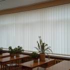 Вертикальні жалюзі